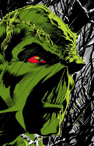 Absolute Swamp Thing by Len Wein and Bernie Wrightson book cover by Len Wein