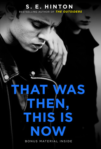 That Was Then, This Is Now book cover by S. E. Hinton