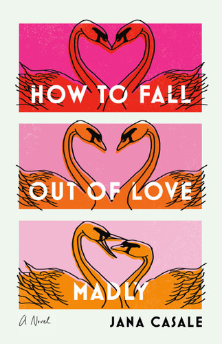 How to Fall Out of Love Madly: A Novel book cover by Jana Casale