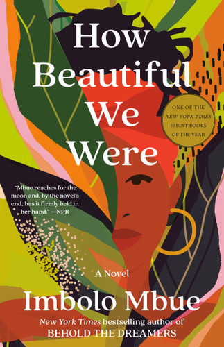 How Beautiful We Were: A Novel book cover by Imbolo Mbue