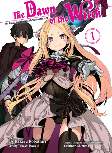 The Dawn of the Witch 1 (light novel) (The Dawn of the Witch (novel)) book cover by Kakeru Kobashiri