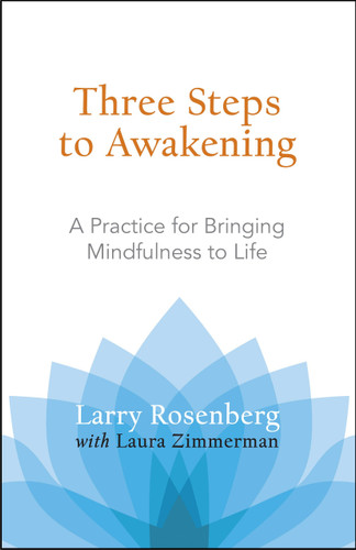 Three Steps to Awakening: A Practice for Bringing Mindfulness to Life book cover by Larry Rosenberg, Laura Zimmerman
