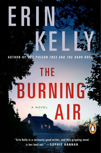 The Burning Air: A Novel book cover by Erin Kelly