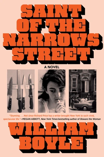 Saint of the Narrows Street book cover by William Boyle