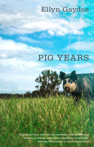 Pig Years book cover by Ellyn Gaydos