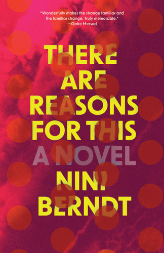 There Are Reasons For This book cover by Nini Berndt