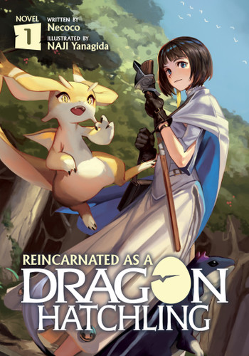 Reincarnated as a Dragon Hatchling (Light Novel) Vol. 1 (Reincarnated as a Dragon Hatchling (Light Novel)) book cover by Necoco