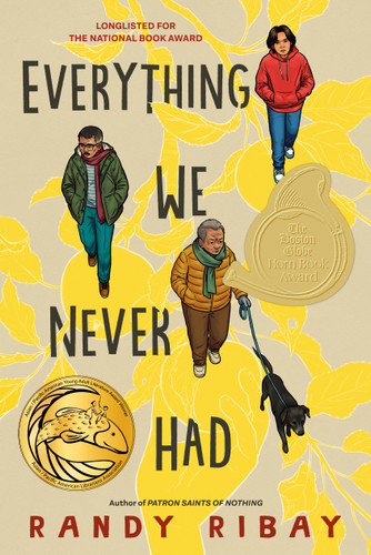 Everything We Never Had book cover by Randy Ribay