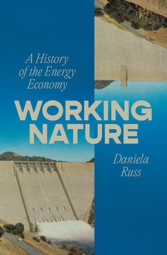 Working Nature: A History of the Energy Economy book cover by Daniela Russ