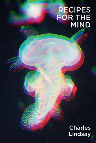 Recipes for the Mind book cover by Charles Lindsay Jr.