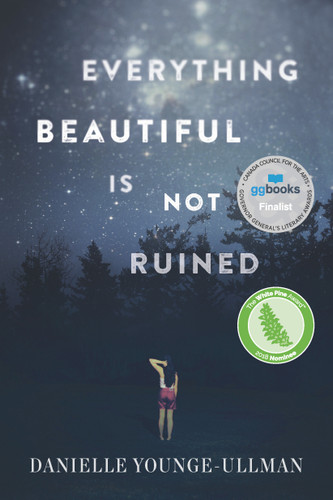 Everything Beautiful Is Not Ruined book cover by Danielle Younge-Ullman