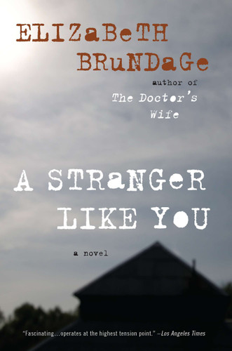 A Stranger Like You: A Novel book cover by Elizabeth Brundage