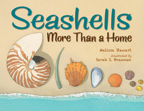 Seashells: More Than a Home book cover by Melissa Stewart