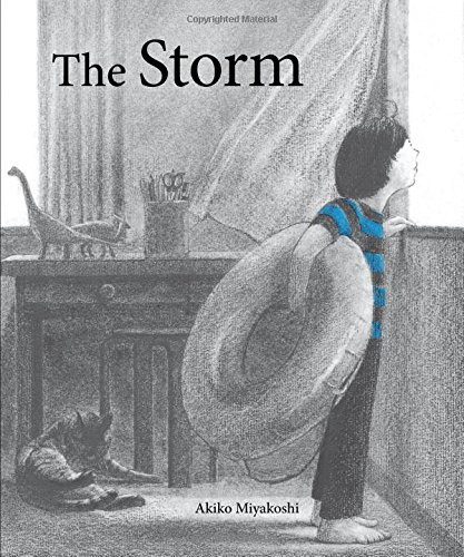 The Storm Cover