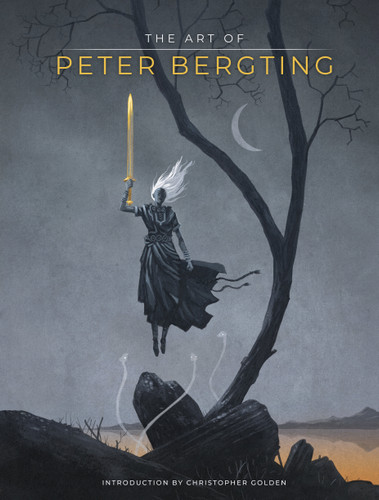The Art of Peter Bergting book cover by Peter Bergting