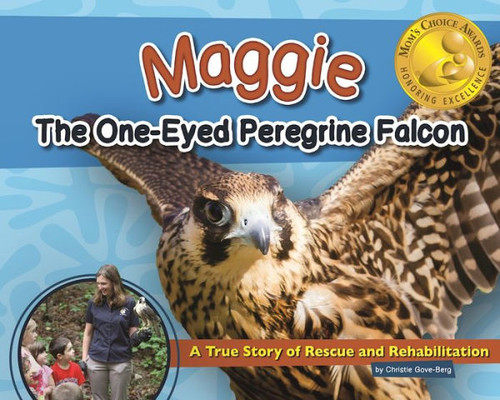 Maggie the One-Eyed Peregrine Falcon: A True Story of Rescue and Rehabilitation Cover