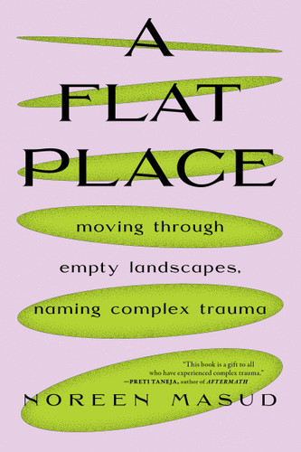 A Flat Place: Moving Through Empty Landscapes, Naming Complex Trauma book cover by Noreen Masud