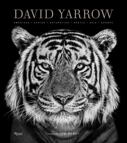 David Yarrow Photography: Americas Africa Antarctica Arctic Asia Europe book cover by David Yarrow