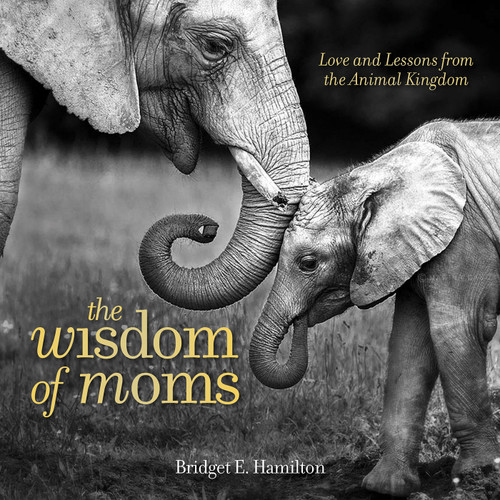 The Wisdom of Moms: Love and Lessons From the Animal Kingdom book cover by Bridget Hamilton