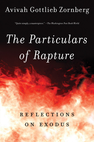 The Particulars of Rapture: Reflections on Exodos book cover by Avivah Gottlieb Zornberg
