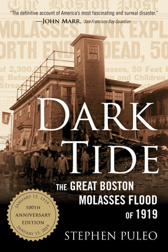 Dark Tide: The Great Boston Molasses Flood of 1919 book cover by Stephen Puleo