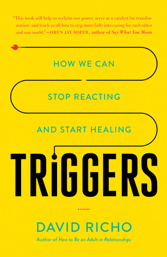 Triggers: How We Can Stop Reacting and Start Healing book cover by David Richo