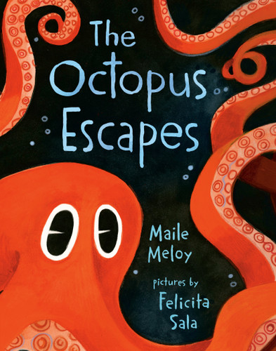 The Octopus Escapes book cover by Maile Meloy