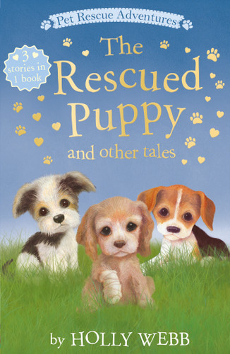The Rescued Puppy and Other Tales: The Rescued Puppy; The Tiniest Puppy; The Abandoned Puppy (Pet Rescue Adventures) book cover by Holly Webb