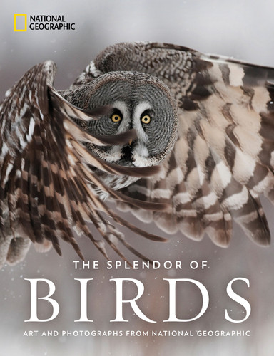 The Splendor of Birds: Art and Photographs From National Geographic book cover by National Geographic