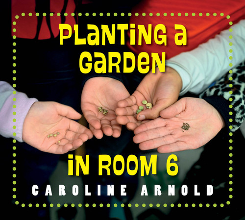 Planting a Garden in Room 6: From Seeds to Salad (Life Cycles in Room 6) book cover by Caroline Arnold