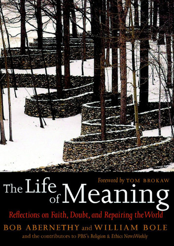 The Life of Meaning: Reflections on Faith, Doubt, and Repairing the World book cover by 