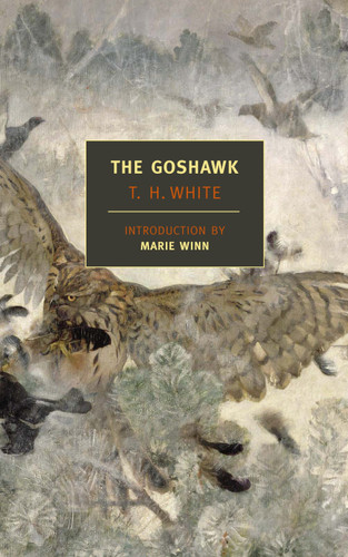 The Goshawk book cover by T.H. White
