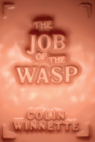 The Job of the Wasp: A Novel book cover by Colin Winnette