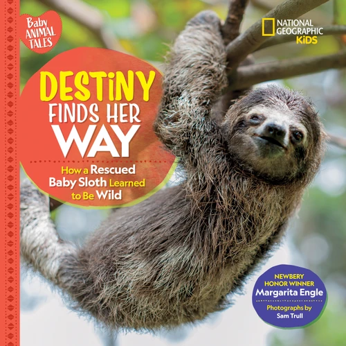 Destiny Finds Her Way: How a Rescued Baby Sloth Learned to Be Wild (Baby Animal Tales) book cover by Margarita Engle