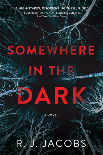 Somewhere in the Dark: A Novel book cover by R. J. Jacobs