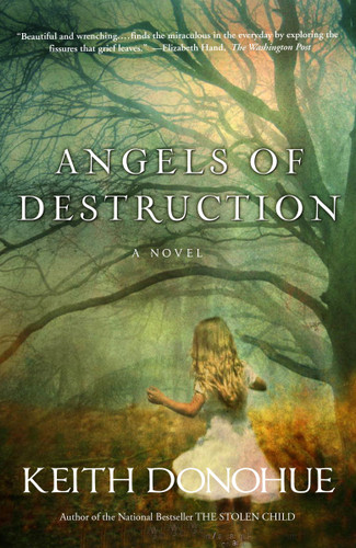 Angels of Destruction: A Novel book cover by Keith Donohue