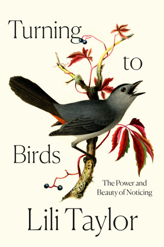 Turning to Birds: The Power and Beauty of Noticing book cover by Lili Taylor