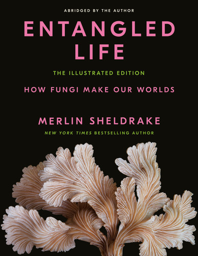 Entangled Life: The Illustrated Edition: How Fungi Make Our Worlds book cover by Merlin Sheldrake