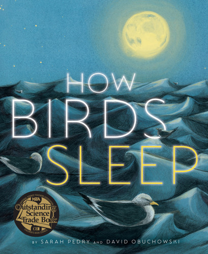How Birds Sleep book cover by David Obuchowski, Sarah Pedry