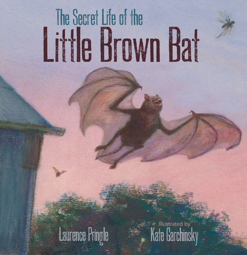 The Secret Life of the Little Brown Bat (The Secret Life) book cover by Laurence Pringle