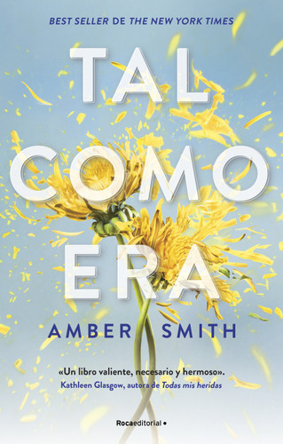 Tal como era / The Way I Used to Be (Tal Como Era) book cover by Amber Smith