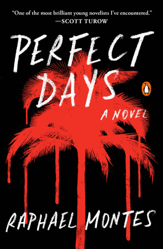 Perfect Days: A Novel book cover by Raphael Montes