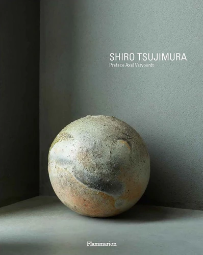 Shiro Tsujimura book cover by 