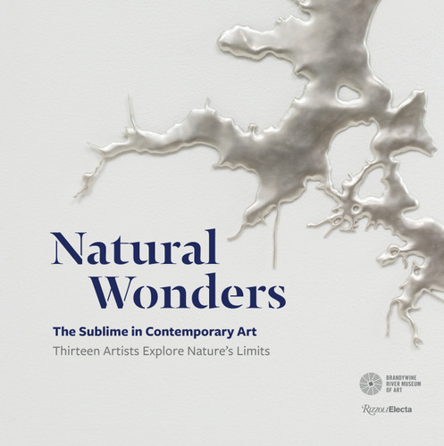 Natural Wonders: The Sublime in Contemporary Art: Thirteen Artists Explore Nature's Limits book cover by Suzanne Ramljak
