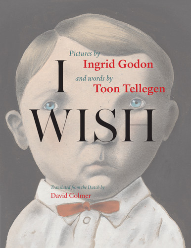 I Wish book cover by Toon Tellegen