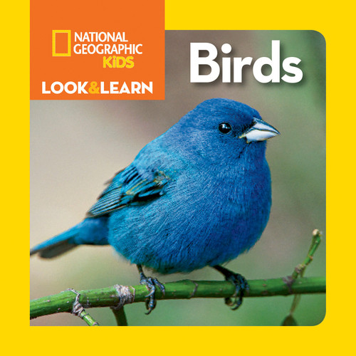 National Geographic Kids Look & Learn: Birds (Look & Learn) book cover by National Geographic Kids