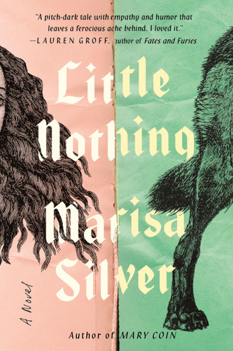 Little Nothing book cover by Marisa Silver