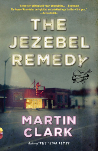 The Jezebel Remedy (Vintage Contemporaries) book cover by Martin Clark