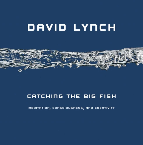 Catching the Big Fish: Meditation, Consciousness, and Creativity book cover by David Lynch
