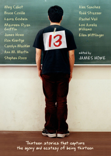 13: Thirteen Stories That Capture the Agony and Ecstasy of Being Thirteen book cover by 